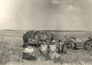 Проведення ґрунтових описів у с. Чорнухи, Полтавської обл. Ірина Шевців (Кравчук) з працівниками експедиції. 1958/1959 н. р.