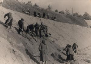 Студенти на будівництві університетського стадіону. Др. пол. 1950-их рр.