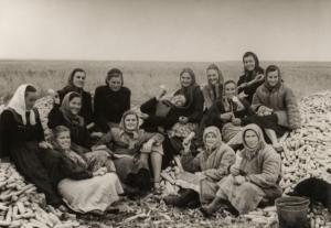 Студенти-географи на збиранні врожаю на Кіровоградщині. 1957 р.